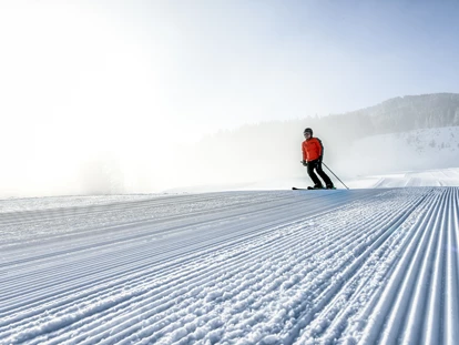 Hundehotel - Pools: Schwimmteich - Ski fahren - Naturresort PURADIES
