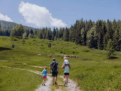 Hundehotel - Pools: Schwimmteich - Wandern - Naturresort PURADIES