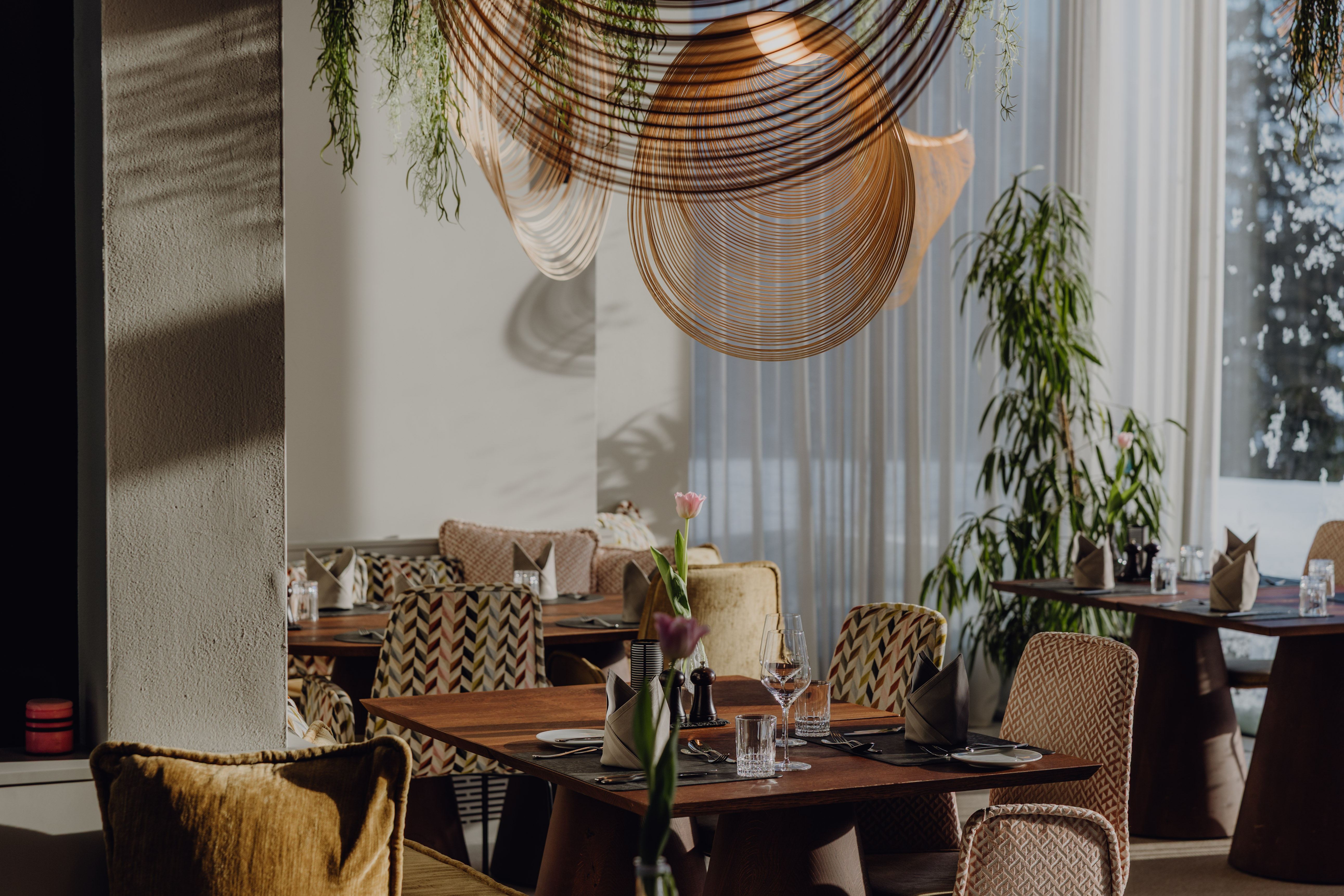 Urlaub-mit-Hund: Naturresort PURADIES