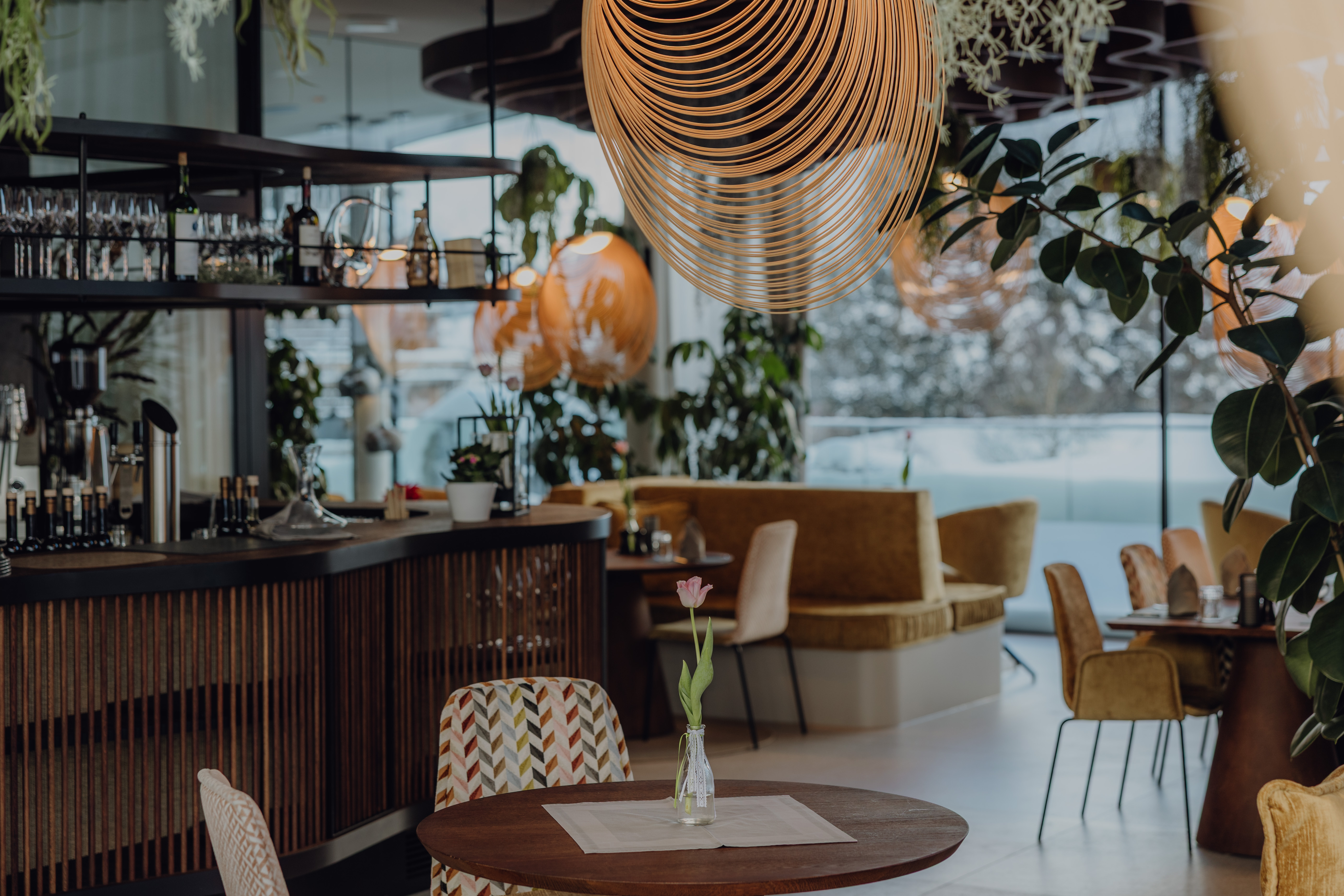 Urlaub-mit-Hund: Naturresort PURADIES