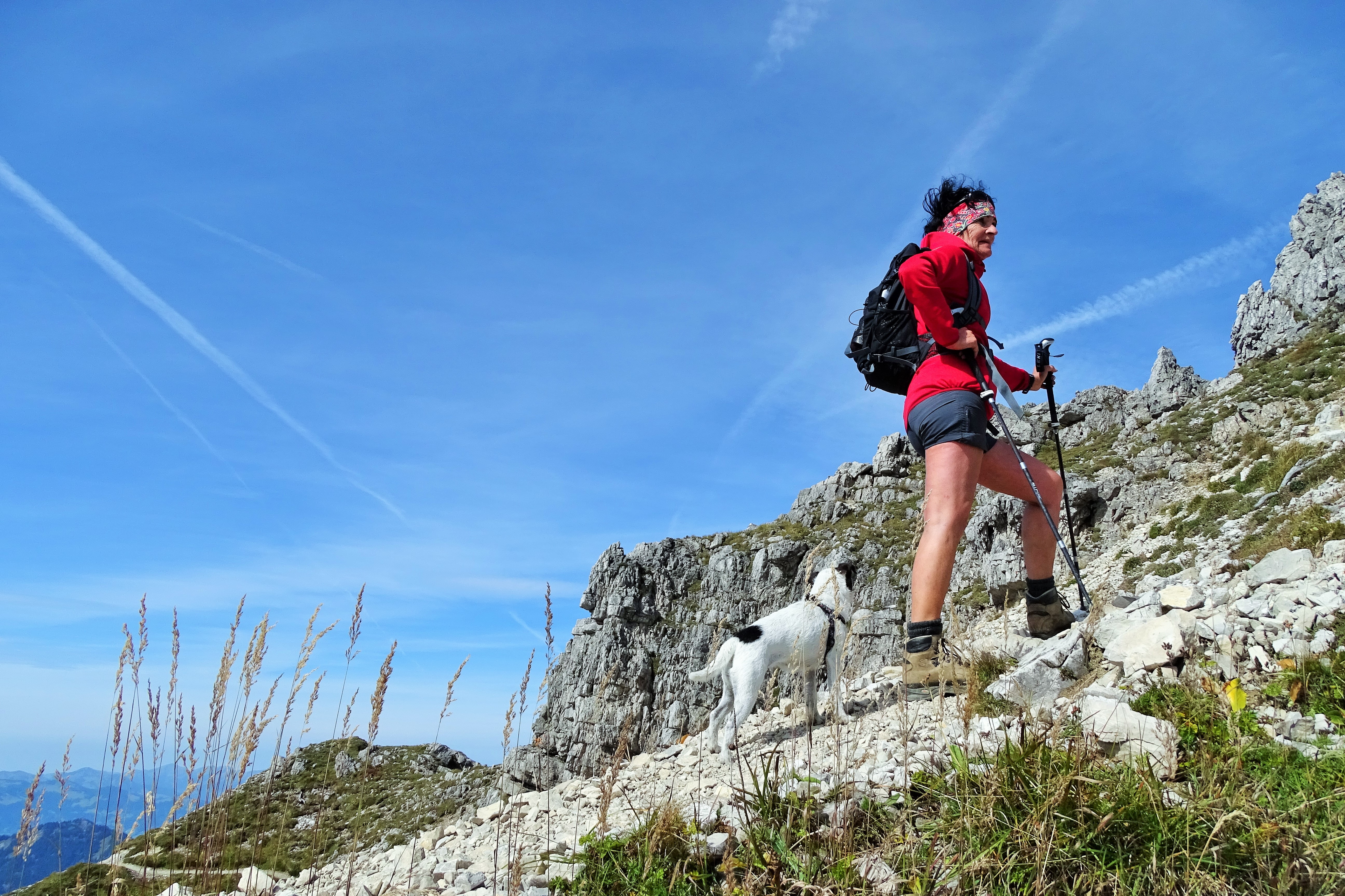 Das BERGESGRÜN Ausflüge mit Hund Hinterstein mit Ponten und Bschießer
