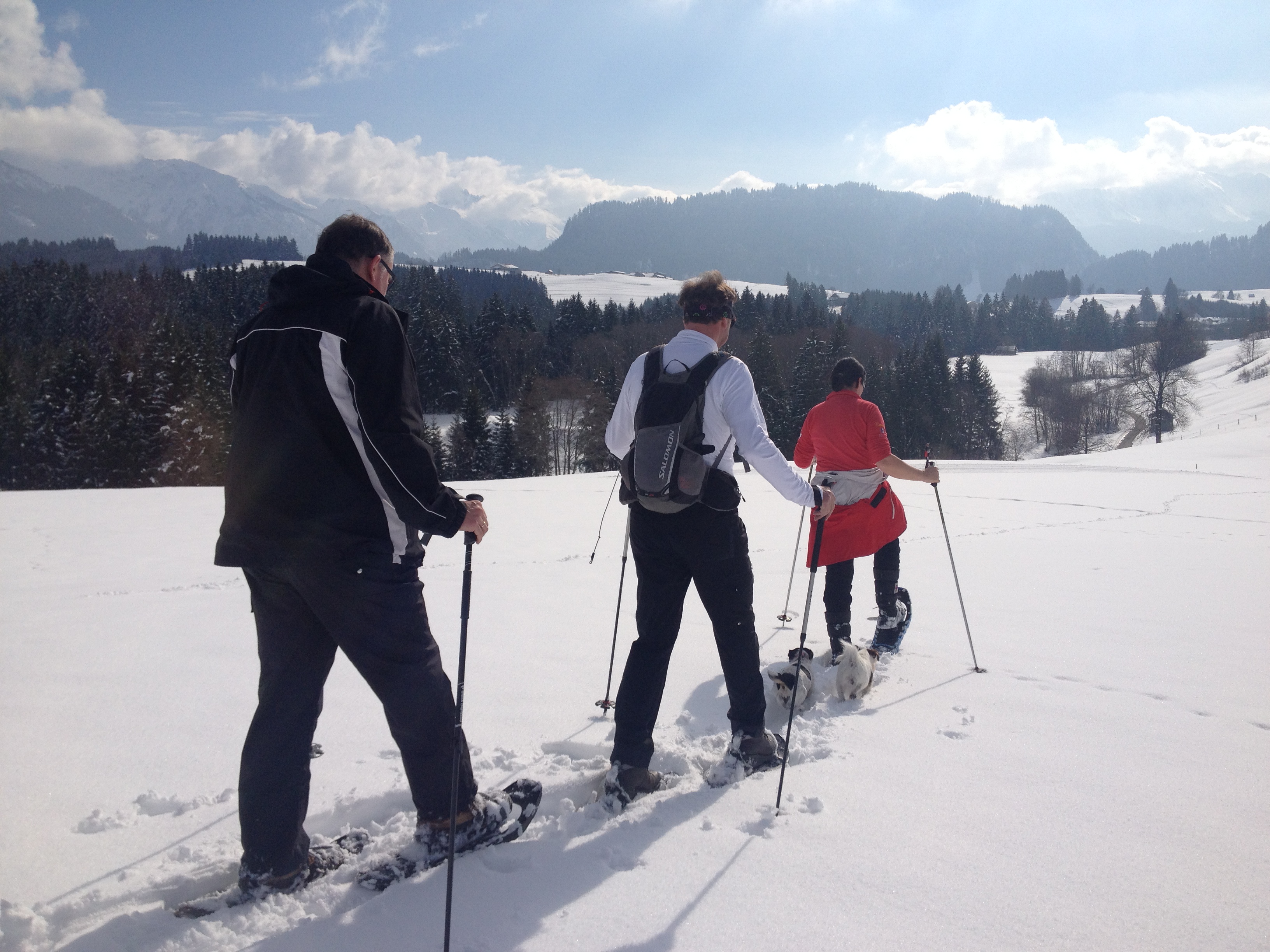 Das BERGESGRÜN Ausflüge mit Hund Alpe Mittelberg