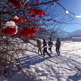Urlaub-mit-Hund: Hunde-Spaziergang mit Blick auf die Allgäuer Schnee-Berge - Das BERGESGRÜN