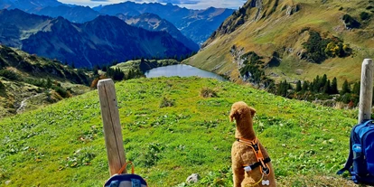 Hundehotel - Ladis - Bei uns gibt's Bergbahn unlimited - ganz umsonst die Berge rauf und runter gondeln.
Oskar findet das toll! - Das BERGESGRÜN