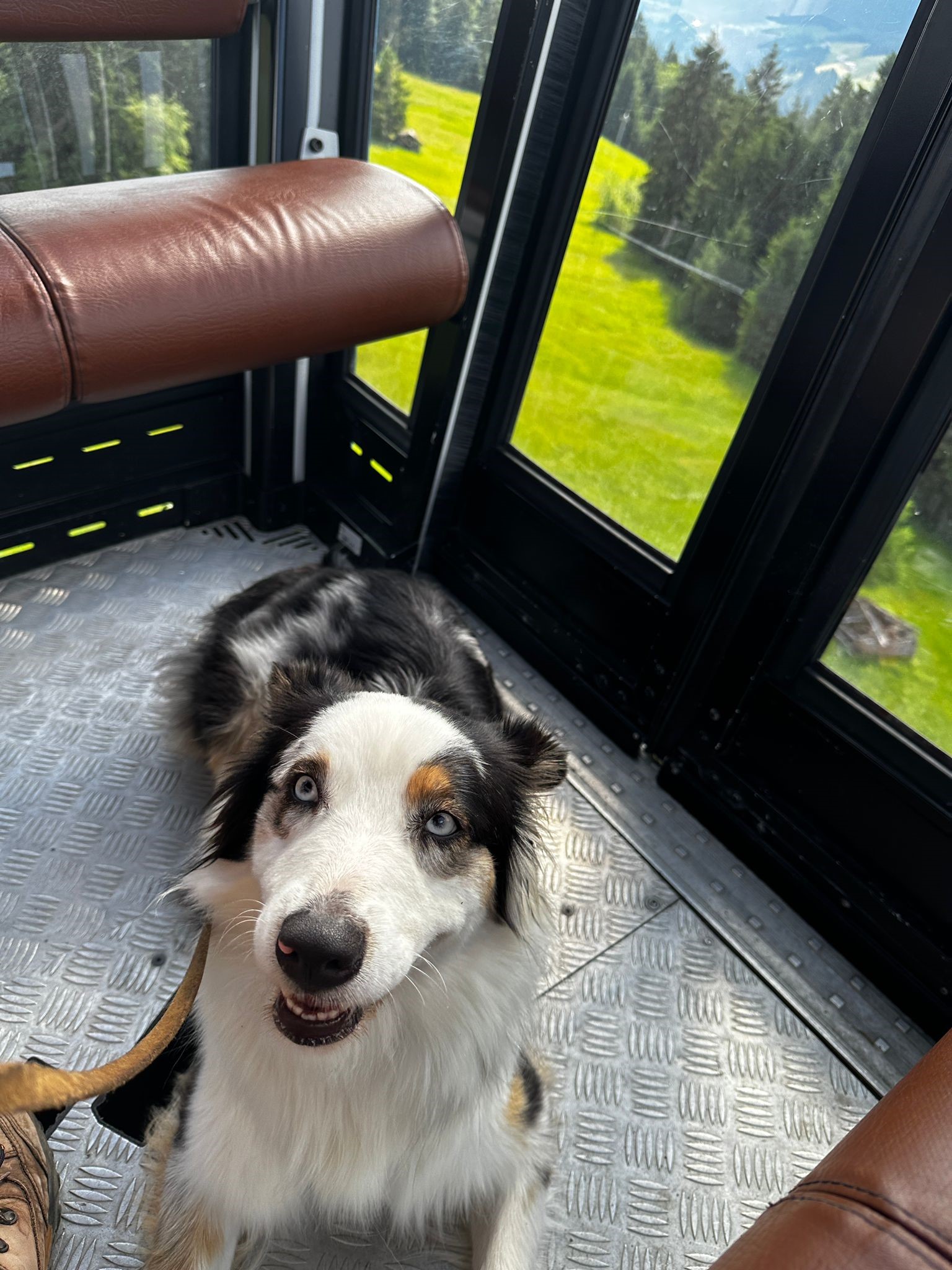 Urlaub-mit-Hund: Alma darf mit der Bergbahn fahren - Das BERGESGRÜN