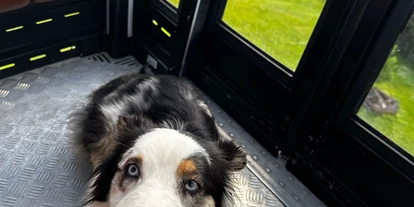 Hundehotel - Ladis - Alma darf mit der Bergbahn fahren - Das BERGESGRÜN