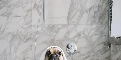 Hundehotel - Unterkunftsart: Hotel - Baden (Baden) - The Guesthouse Vienna