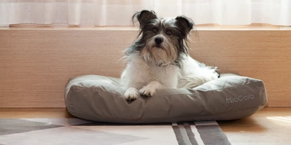 Hundehotel - Unterkunftsart: Hotel - Baden (Baden) - The Guesthouse Vienna