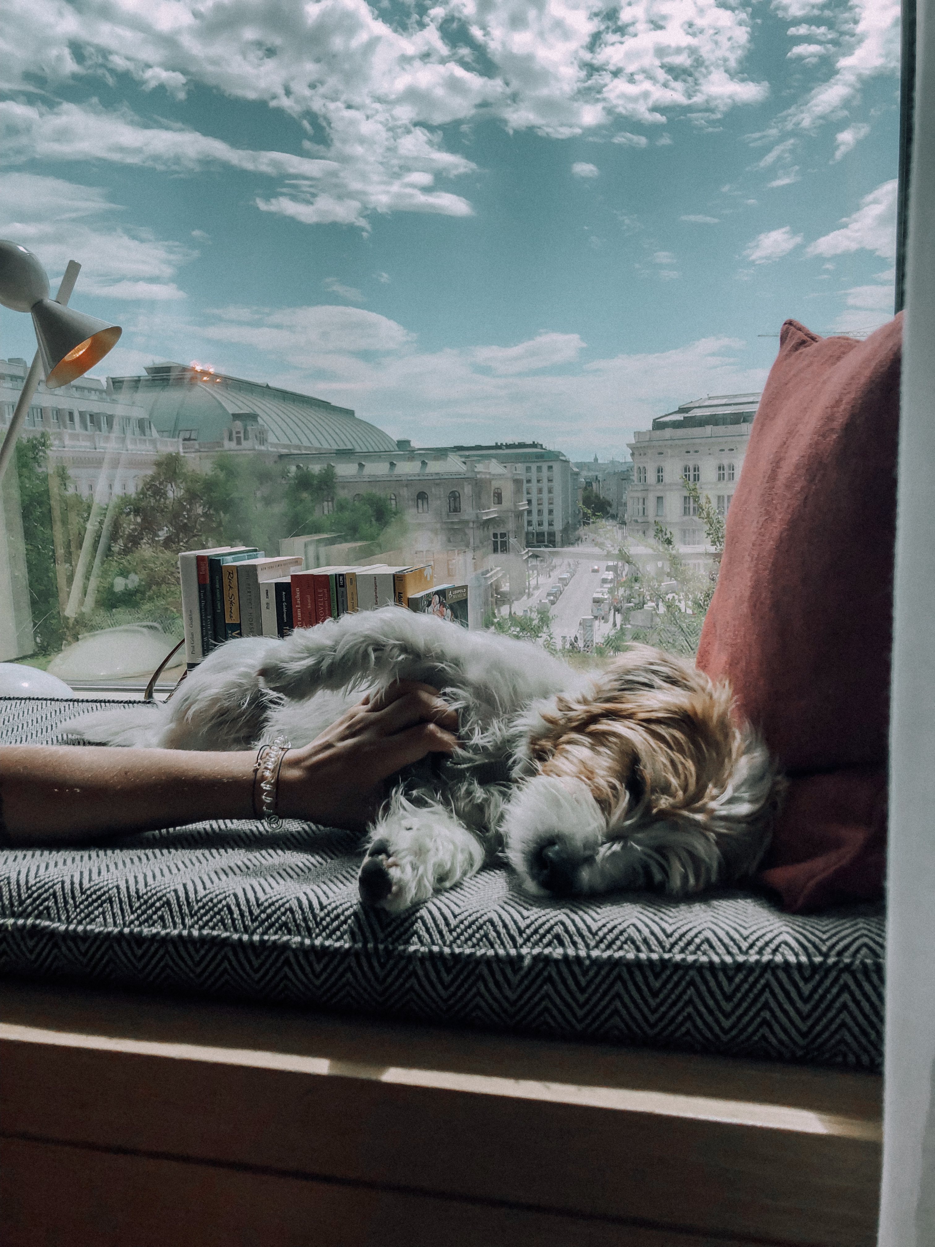 Hundehotel - Tulln an der Donau - The Guesthouse Vienna