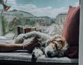 Urlaub-mit-Hund: The Guesthouse Vienna