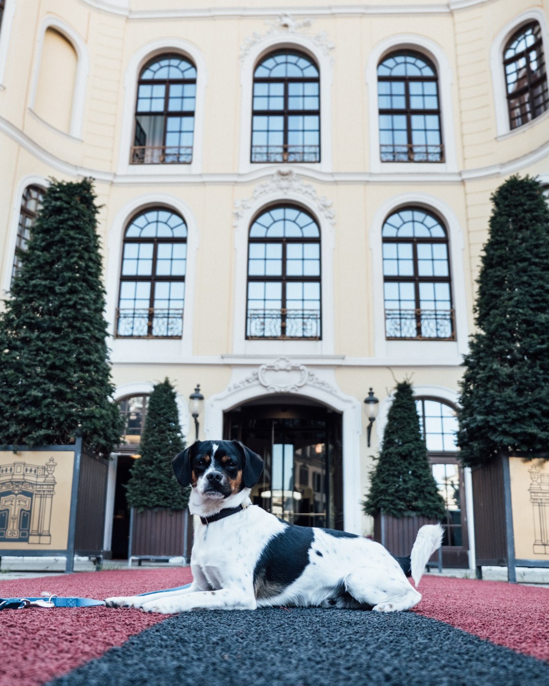 Urlaub-mit-Hund: Hotel Taschenbergpalais Kempinski Dresden