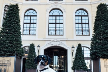 Urlaub-mit-Hund: Hotel Taschenbergpalais Kempinski Dresden