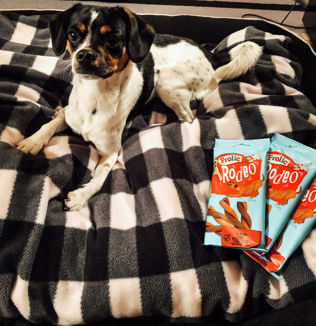 Hotel Taschenbergpalais Kempinski Dresden Hotel für den Urlaub mit