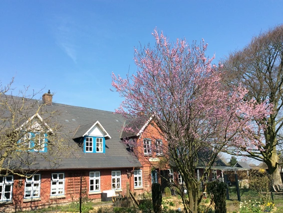 Urlaub-mit-Hund: Ein gemütlicher Garten lädt zum Verweilen ein.  - Hotel - Pension „ALTES PASTORAT“