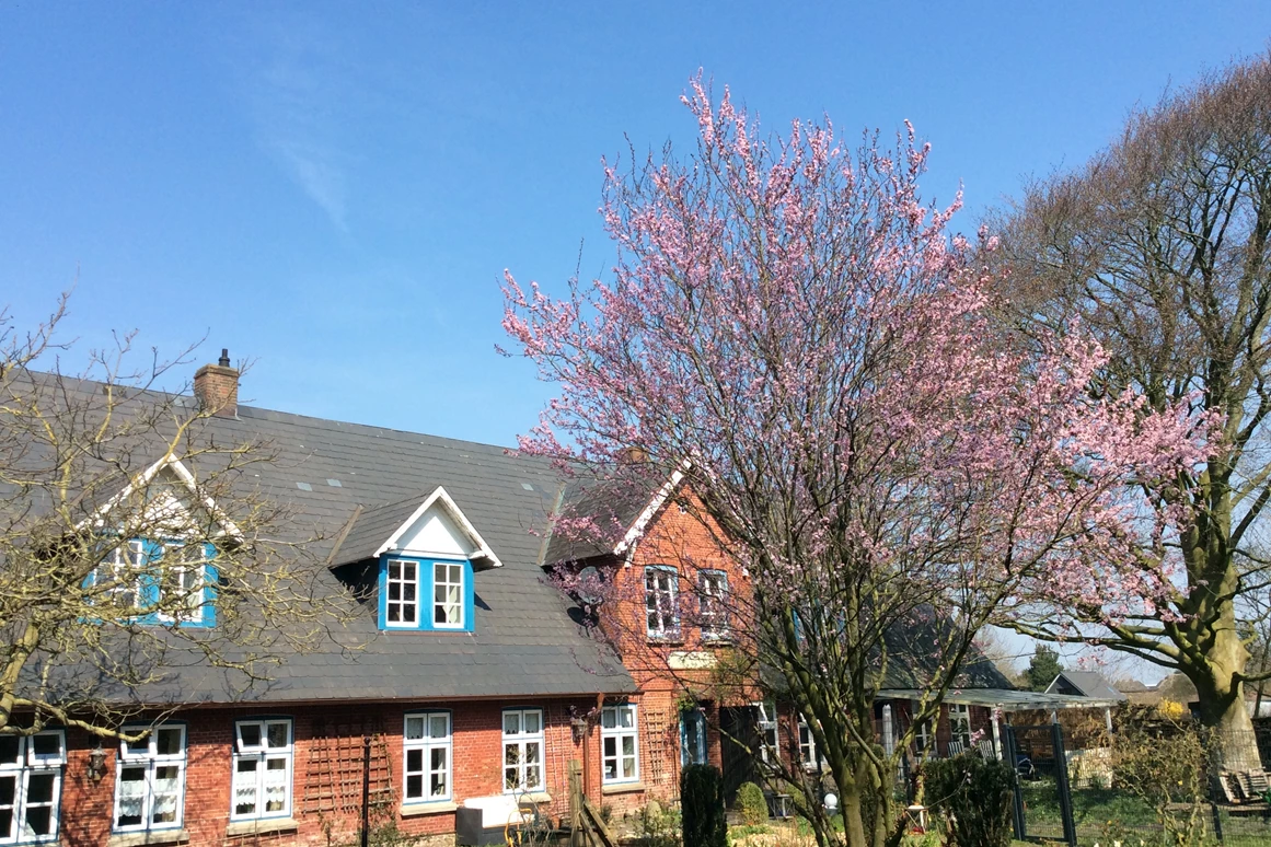 Urlaub-mit-Hund: Ein gemütlicher Garten lädt zum Verweilen ein.  - Hotel - Pension „ALTES PASTORAT“