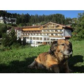 Urlaub-mit-Hund - Unser Gast Rexi fühlt sich im 20.000m² großen Panoramagarten "pudelwohl" - Inntalerhof - DAS Panoramahotel