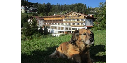 Hundehotel - Verpflegung: 3/4 Pension - PLZ 6633 (Österreich) - Unser Gast Rexi fühlt sich im 20.000m² großen Panoramagarten "pudelwohl" - Inntalerhof - DAS Panoramahotel