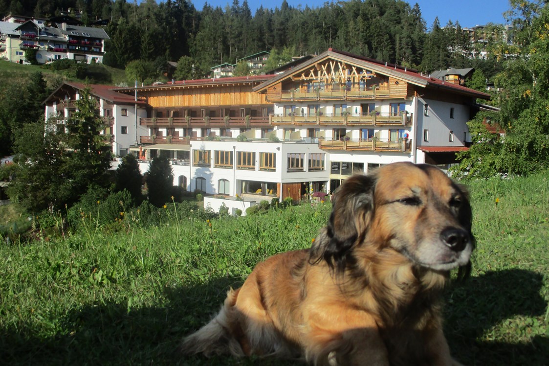Urlaub-mit-Hund: Unser Gast Rexi fühlt sich im 20.000m² großen Panoramagarten "pudelwohl" - Inntalerhof - DAS Panoramahotel