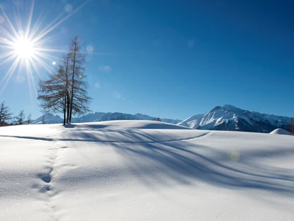 Hundehotel - Ladis - Glitzernde Winteridylle genießen - auch im Winter ein Genuss mit Ihrem vierbeinigen Freund - Inntalerhof - DAS Panoramahotel