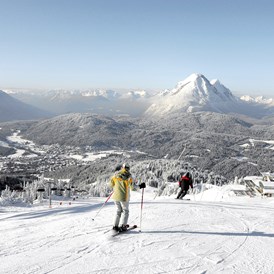 Urlaub-mit-Hund: Alpin Ski - Abfahrtsgenuss mit über 30 Liften - Inntalerhof - DAS Panoramahotel