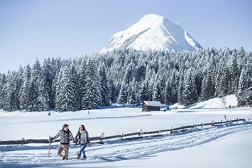 Urlaub-mit-Hund: Winterwandern in der Region Seefeld Tirols Hochplateau - Inntalerhof - DAS Panoramahotel