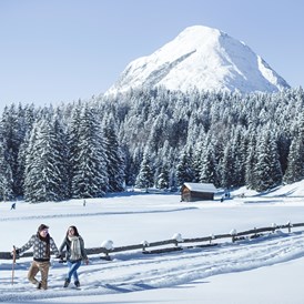 Urlaub-mit-Hund: Winterwandern in der Region Seefeld Tirols Hochplateau - Inntalerhof - DAS Panoramahotel