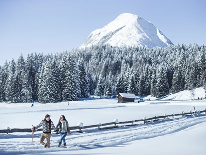 Hundehotel - Ladis - Winterwandern in der Region Seefeld Tirols Hochplateau - Inntalerhof - DAS Panoramahotel