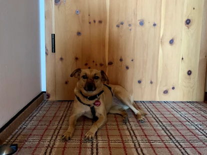 Hundehotel - Ladis - Inntalerhof - DAS Panoramahotel
