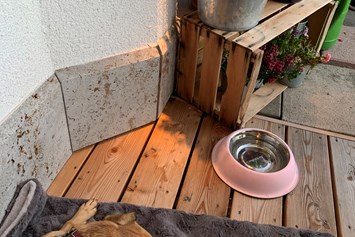 Urlaub-mit-Hund: Inntalerhof - DAS Panoramahotel