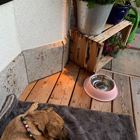 Urlaub-mit-Hund: Inntalerhof - DAS Panoramahotel