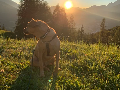Hundehotel - Ladis - Inntalerhof - DAS Panoramahotel
