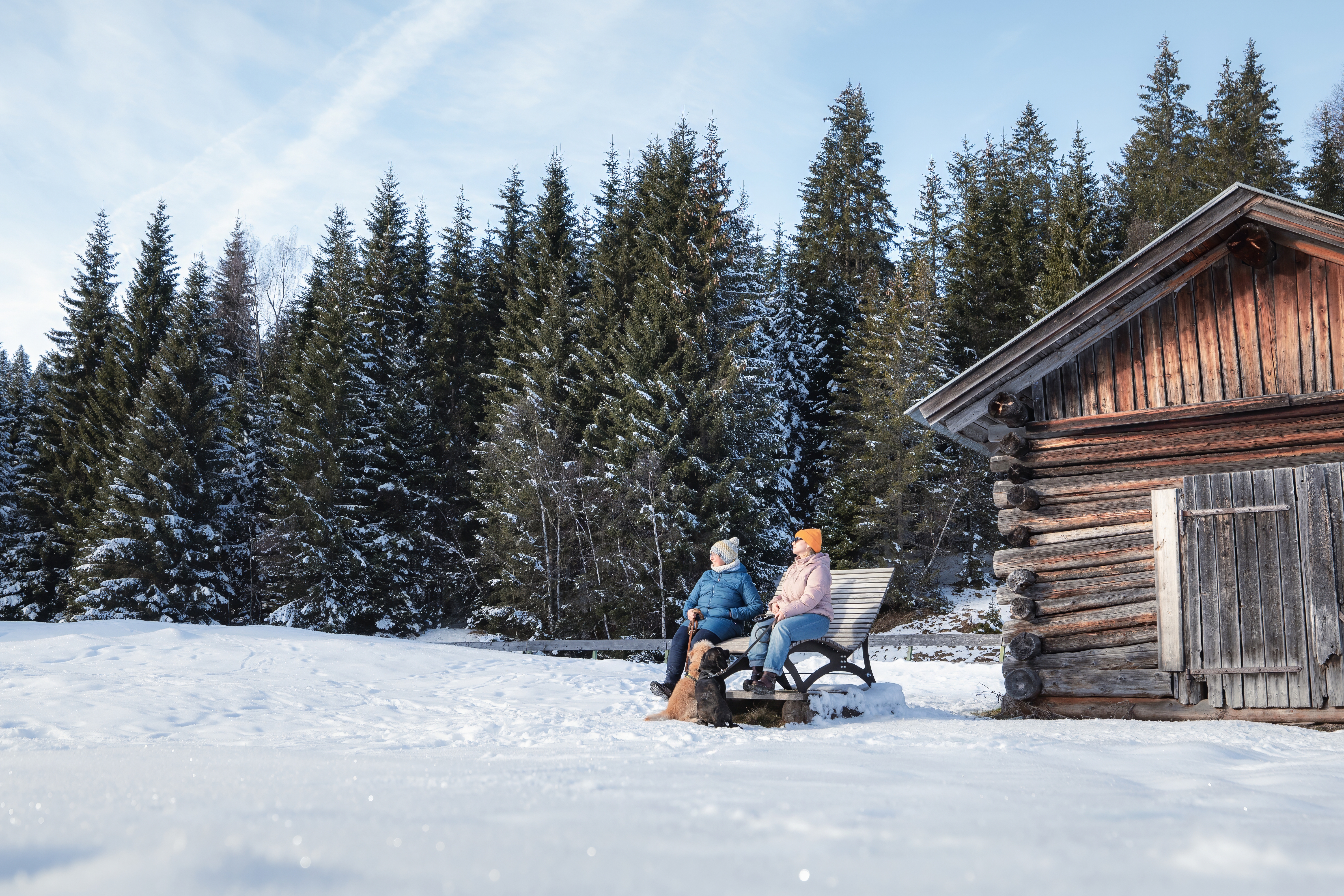 Urlaub-mit-Hund: Natur pur! zu jeder Jahreszeit - Inntalerhof - DAS Panoramahotel