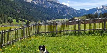 Hundehotel - Ladis - Eingezäunter Garten  - Braito 's Seaside Lodges und Suites