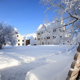 Urlaub-mit-Hund: Winter im Schlosspark - Hotel G´Schlössl Murtal