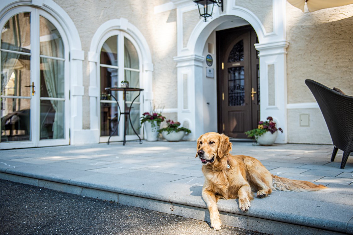 Urlaub-mit-Hund: Hotel G´Schlössl Murtal