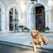 Urlaub-mit-Hund: Hotel G´Schlössl Murtal
