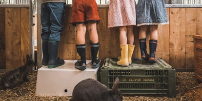 Hundehotel - Verpflegung: Frühstück - Seefeld in Tirol - Hotel Klosterbräu