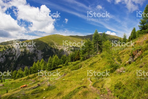 Hollmann am Berg - Turracher Höhe Ausflugsziele 3 Seen-Wanderung 