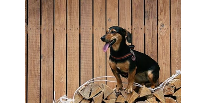 Hundehotel - Tauplitz - Rittis Alpin Chalets Dachstein