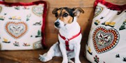Hundehotel - Besorgung Hundefutter - Unsere ASTORIA RESORT Hundedame ELLA - Alpin Resort Sacher