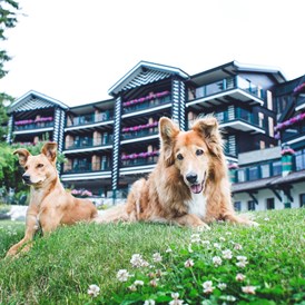 Urlaub-mit-Hund: Unser Garten - Alpin Resort Sacher