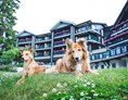 Urlaub-mit-Hund: ASTORIA RESORT Garten - Alpin Resort Sacher