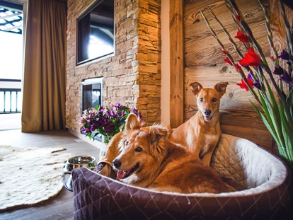 Hundehotel - Pools: Schwimmteich - Hundeservice auf dem Zimmer - Alpin Resort Sacher