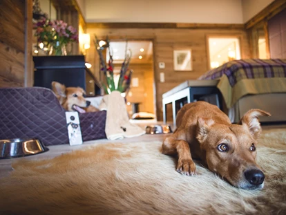 Hundehotel - Pools: Schwimmteich - Hundeservice auf dem Zimmer - Alpin Resort Sacher
