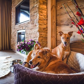 Urlaub-mit-Hund: ASTORIA Hundeservice auf dem Zimmer - ASTORIA Resort Seefeld