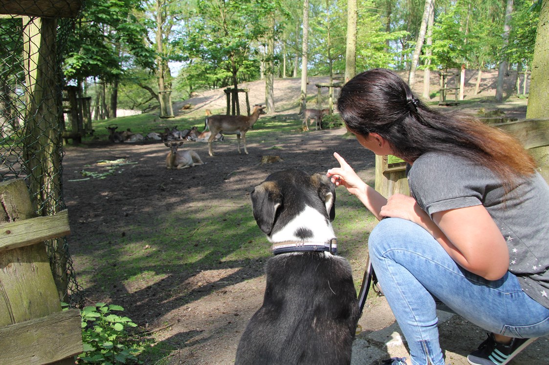 Urlaub-mit-Hund: Familienhotel am Tierpark