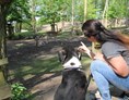 Urlaub-mit-Hund: Familienhotel am Tierpark