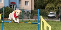 Hundehotel - Hundewiese: eingezäunt - Familienhotel am Tierpark