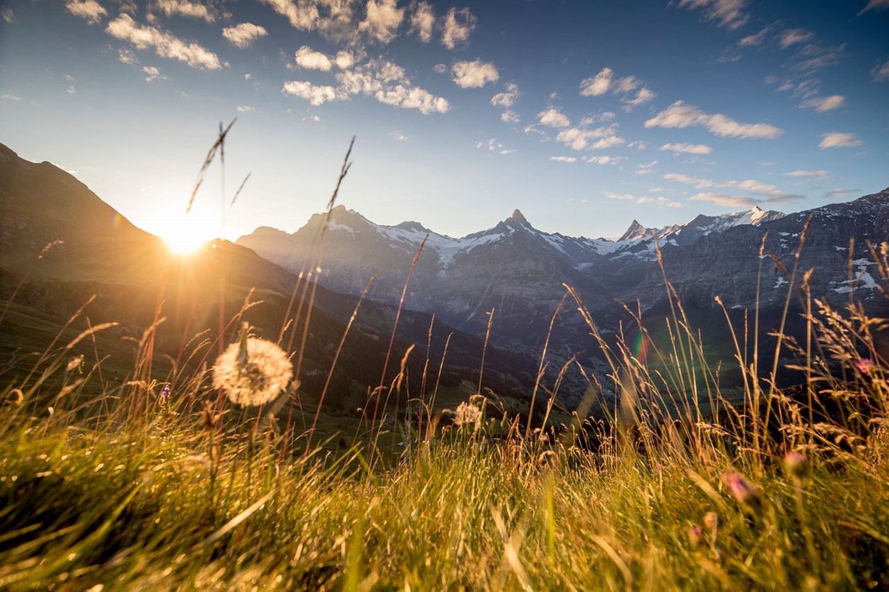 Sunstar Hotel Grindelwald Ausflugsziele Ausflüge und Aktivitäten in Grindelwald