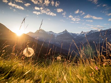 Sunstar Hotel Grindelwald Ausflugsziele Ausflüge und Aktivitäten in Grindelwald